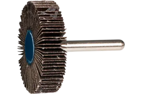 Mounted Flap Wheel, 2" x 1/2, 80 Grit, 1/4" Shank, Silicon carbide 2
