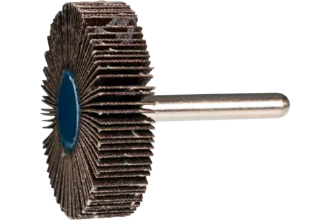 Mounted Flap Wheel, 2" x 1/2, 120 Grit, 1/4" Shank, Silicon carbide 2