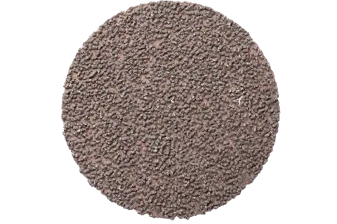 Disco abrasivo granulo agglomerato COMBIDISC CD Ø 50 mm A1200 CK per finitura 2