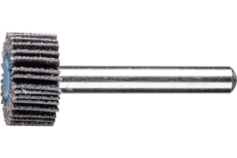 Disco lamelar montado SIC, tipo F diâm. 20x10 mm diâm. haste 6 mm SIC60 para metais duros não ferrosos 1