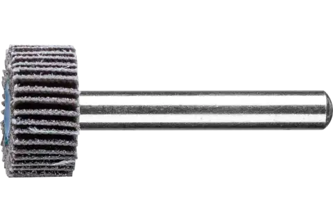 SIC Fächerschleifer F Ø 20x10mm Schaft-Ø 6 mm SIC80 für harte NE Metalle 1
