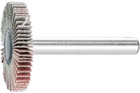 Disco lamelar montado de óxido de alumínio F diâm. 30x5 mm diâm. da haste 6 mm A150 para desbaste fino e acabamento 1