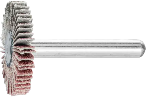 Ściernica wachlarzowa F Korund Ø 30 × 5 mm trzpień Ø 6 mm A80 do szlifu dokładnego i wykończeniowego 1