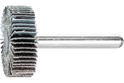 Abanico lijador de SiC F Ø 30x10 mm, mango Ø 6 mm SIC120 para lijado metales no férricos duros 1