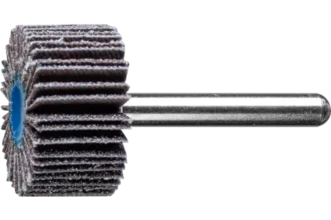 SIC Fächerschleifer F Ø 30x15 mm Schaft-Ø 6 mm SIC60 für harte NE Metalle 1