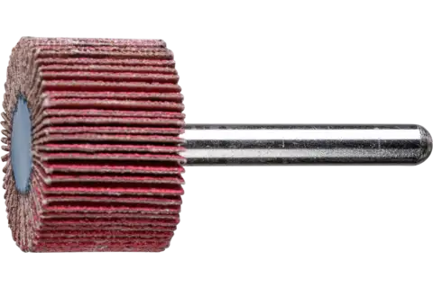 Keramische korrel lamellenslijpstift F Ø 30x20 mm stift-Ø 6 mm CO-COOL120 hoog rendement op edelstaal 1