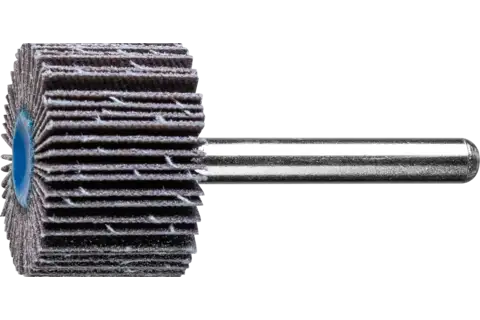 SIC Fächerschleifer F Ø 30x20mm Schaft-Ø 6 mm SIC120 für harte NE Metalle 1