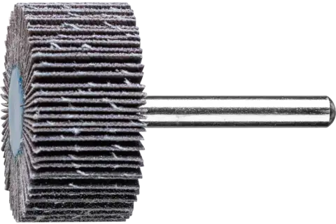 SIC Fächerschleifer F Ø 40x20mm Schaft-Ø 6 mm SIC120 für harte NE Metalle 1