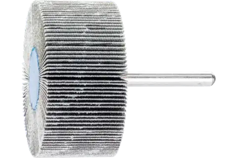 Ściernica wachlarzowa SIC F Ø 60 × 30 mm trzpień Ø 6 mm SIC150 do twardych metali nieżelaznych 1