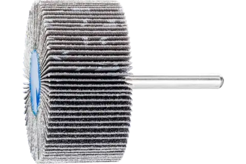 Ściernica wachlarzowa SIC F Ø 60 × 30 mm trzpień Ø 6 mm SIC80 do twardych metali nieżelaznych 1