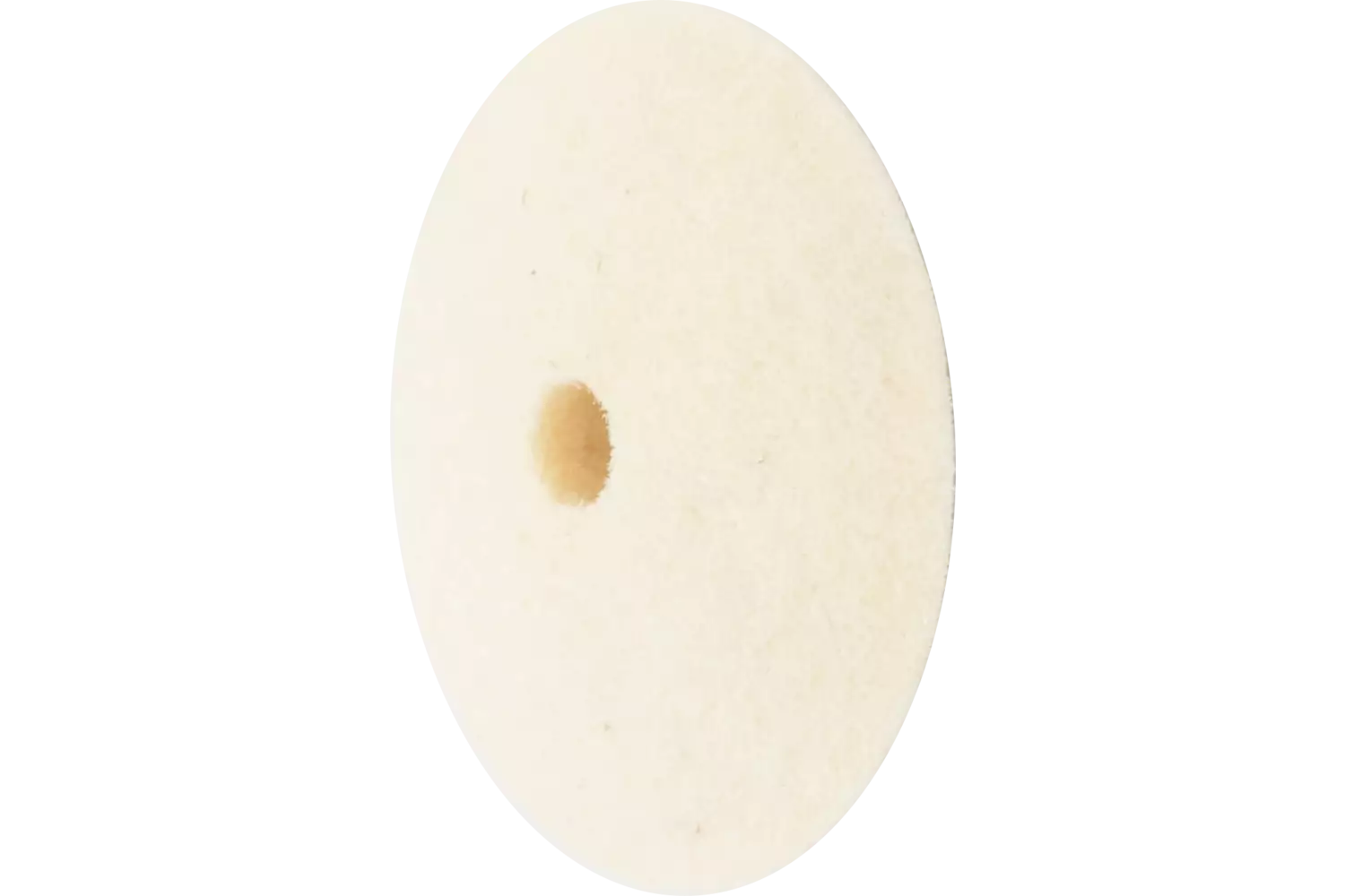 Disco in feltro duro a forma lenticolare Ø 17x5 mm, foro Ø 2 mm per uso lucidatura universale 1