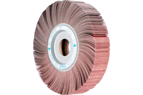 flap grinding wheel FR dia. 250x50mm centre hole dia. 44.0mm A120 for general use 1