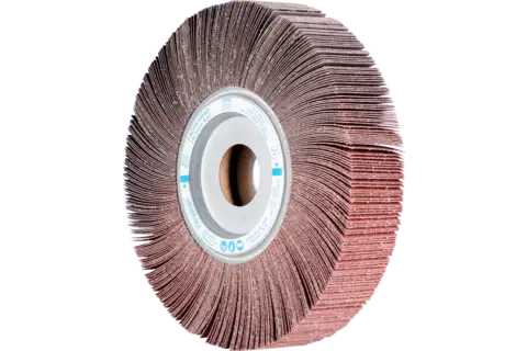 flap grinding wheel FR dia. 250x50mm centre hole dia. 44.0mm A60 for general use 1