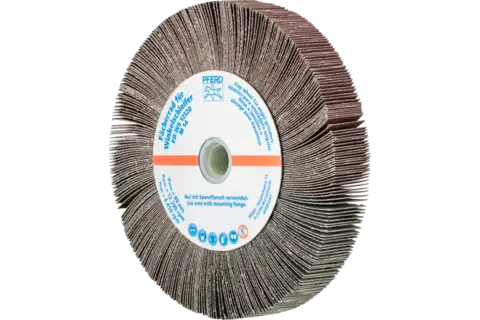 flap grinding wheel for angle grinders FR WS dia. 125x20mm M14 A180 general use 1