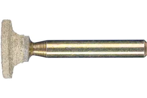 Poliflex Schleifstift Zylinderform Ø 19x2,5 mm Schaft-Ø 6 mm Bindung TX A80 1
