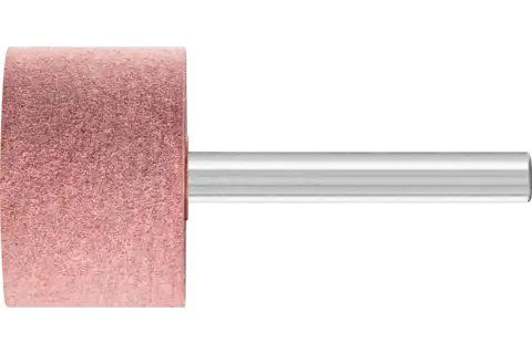 Poliflex taşlama ucu silindirik şekil çap 30x20 mm sap çapı 6 mm bağ GR A120 1